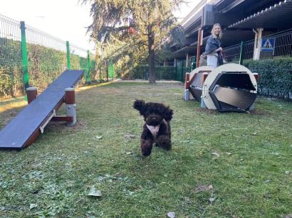 Zona habilitada para mascotas en la T1 del aeropuerto de Madrid